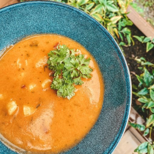 suppe med færøske kammuslinger