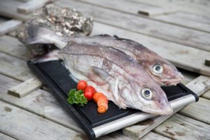 Kuller på dansk, hýsa på færøsk, velegnet til knettir, store fiskeboller.